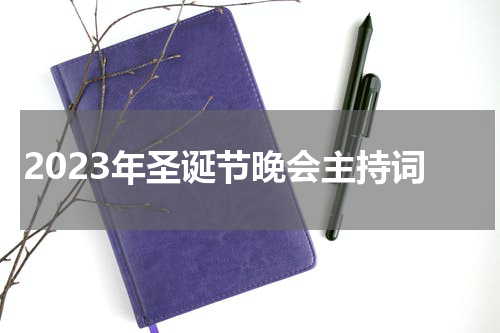 2023年圣诞节晚会主持词