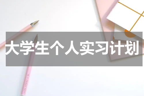 大学生个人实习计划