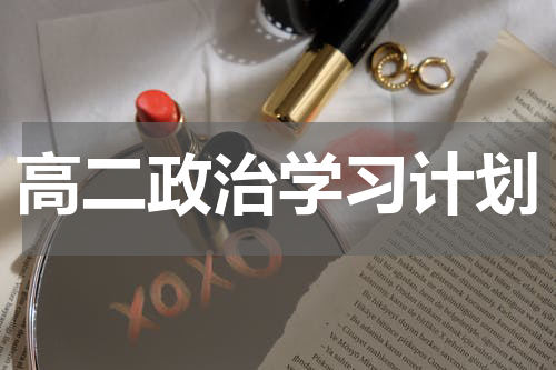 高二政治学习计划