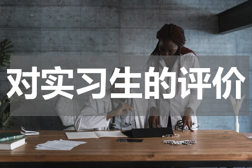 对实习生的评价