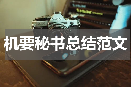 机要秘书总结范文
