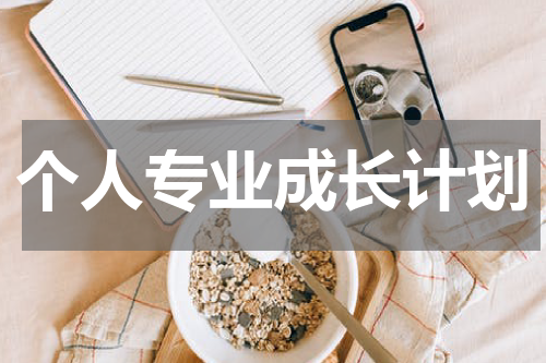 个人专业成长计划