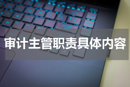 审计主管职责具体内容