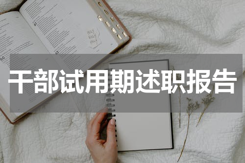干部试用期述职报告