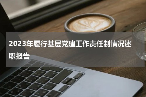 2023年履行基层党建工作责任制情况述职报告