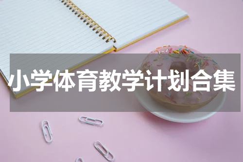 小学体育教学计划合集