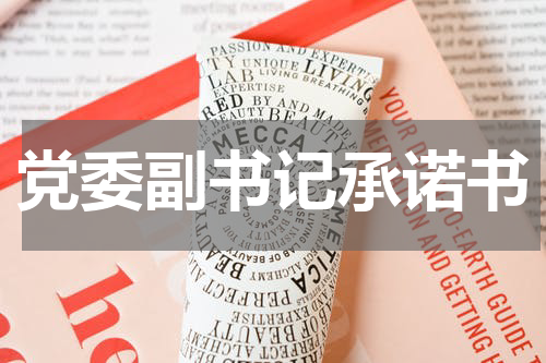 党委副书记承诺书