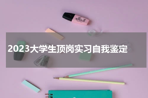 2023大学生顶岗实习自我鉴定