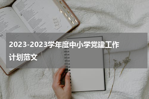 2023-2023学年度中小学党建工作计划范文