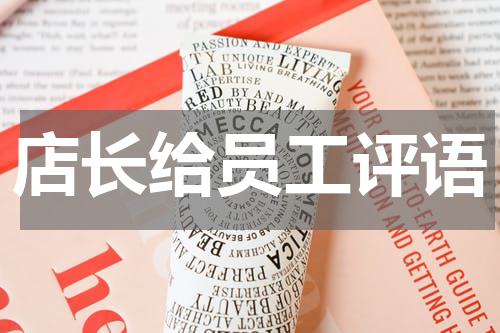 店长给员工评语