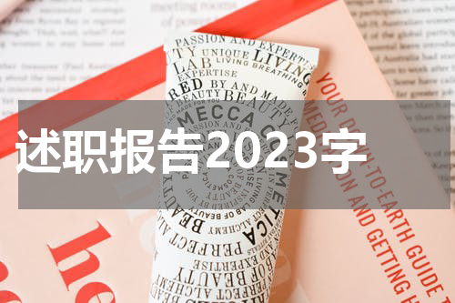 述职报告2023字