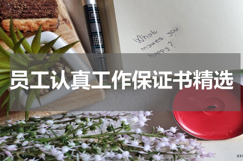 员工认真工作保证书精选