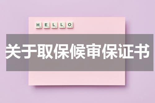 关于取保候审保证书