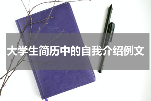 大学生简历中的自我介绍例文