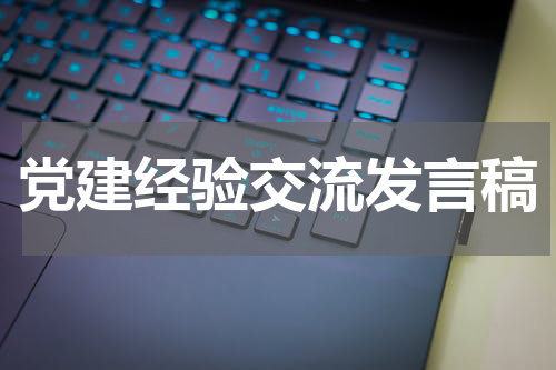 党建经验交流发言稿