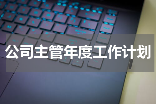 公司主管年度工作计划