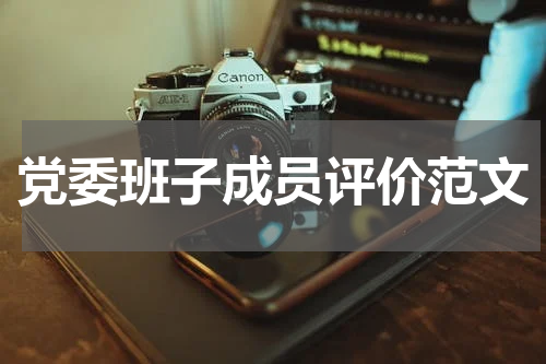 党委班子成员评价范文