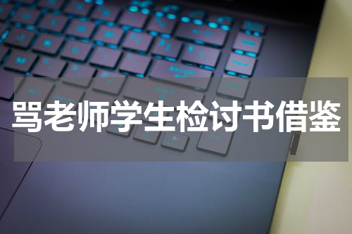 骂老师学生检讨书借鉴