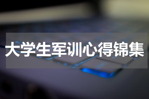 大学生军训心得锦集