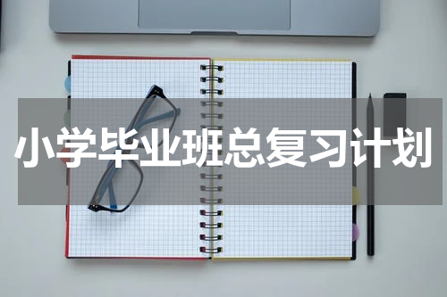 小学毕业班总复习计划