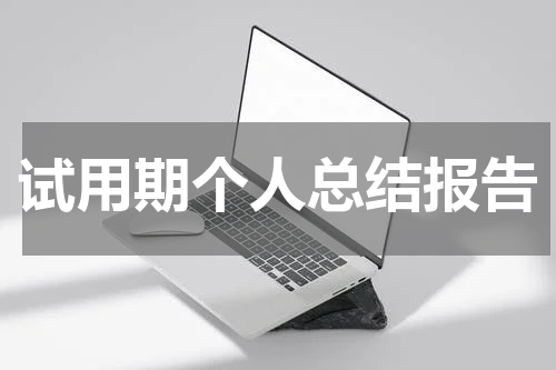 试用期个人总结报告