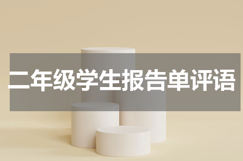 二年级学生报告单评语
