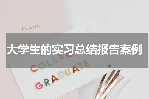 大学生的实习总结报告案例