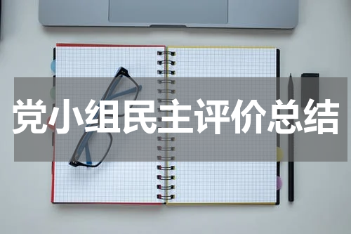 党小组民主评价总结