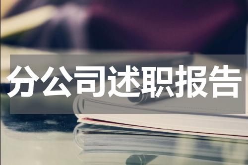 分公司述职报告
