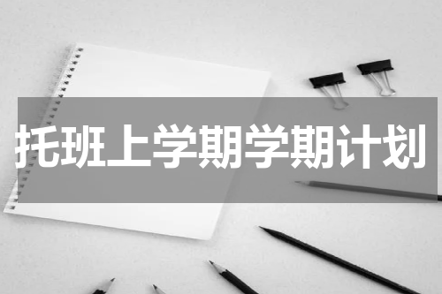 托班上学期学期计划