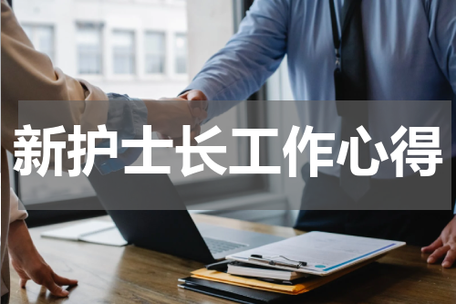新护士长工作心得