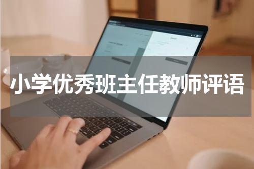 小学优秀班主任教师评语