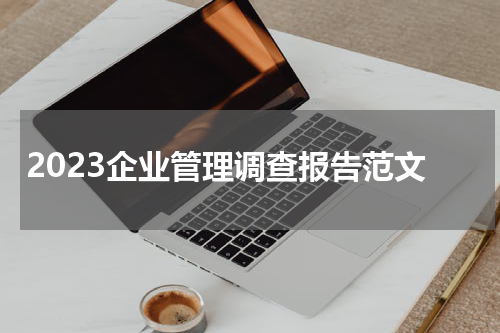 2023企业管理调查报告范文