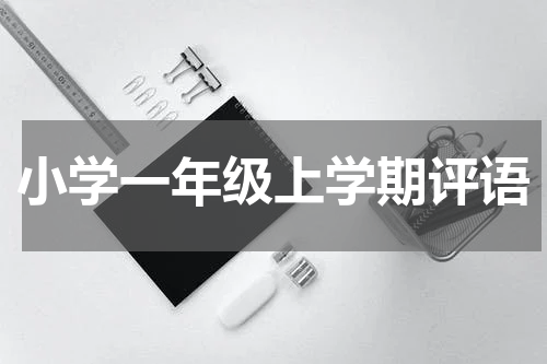 小学一年级上学期评语
