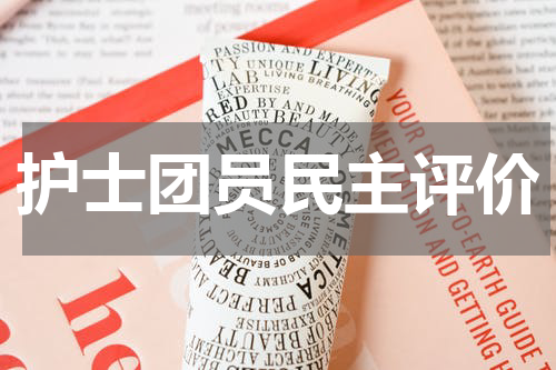 护士团员民主评价