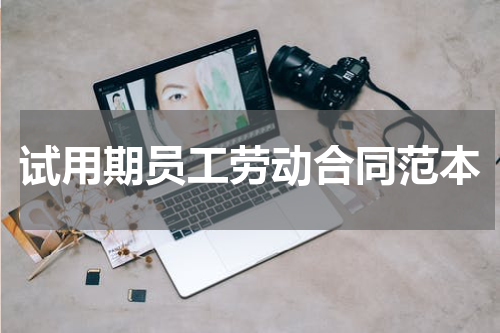 试用期员工劳动合同范本