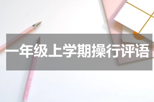 一年级上学期操行评语