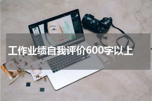 工作业绩自我评价600字以上
