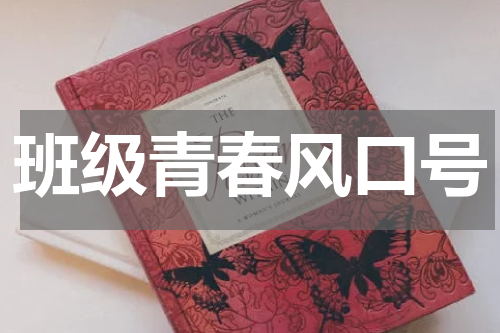班级青春风口号