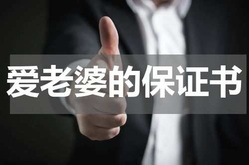 爱老婆的保证书