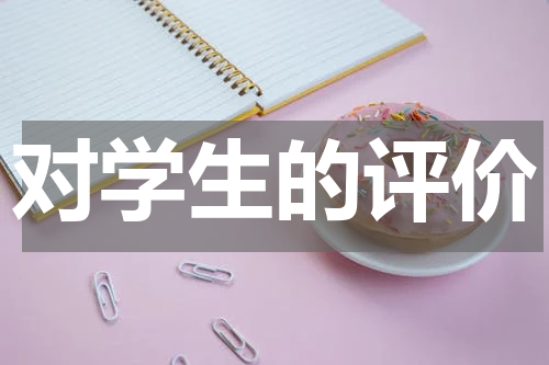 对学生的评价