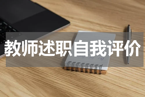 教师述职自我评价