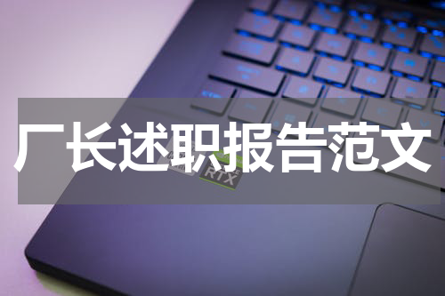 厂长述职报告范文