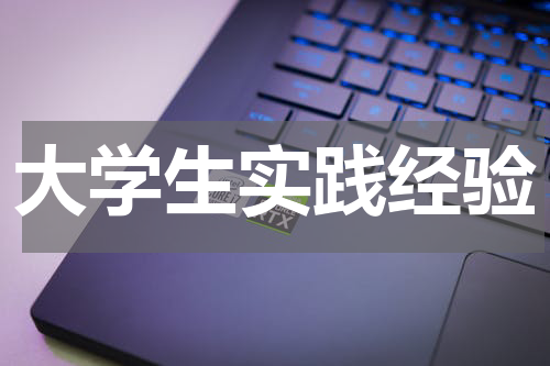 大学生实践经验