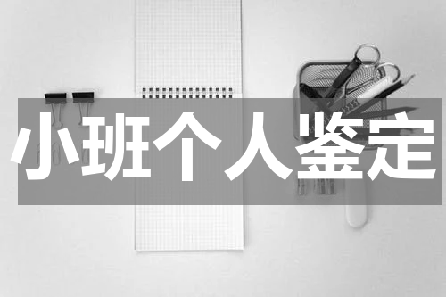 小班个人鉴定