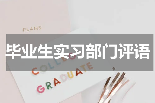毕业生实习部门评语