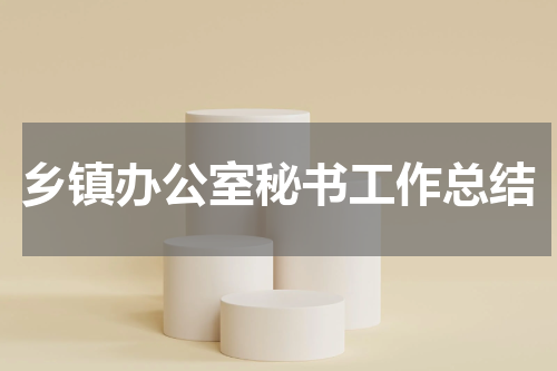 乡镇办公室秘书工作总结