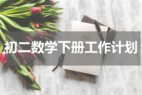 初二数学下册工作计划