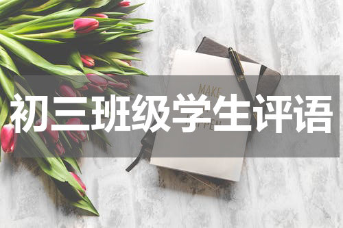初三班级学生评语