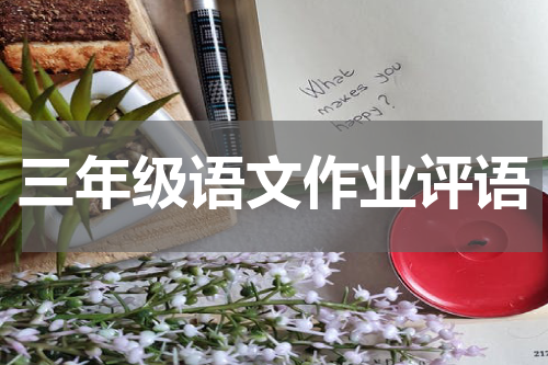 三年级语文作业评语